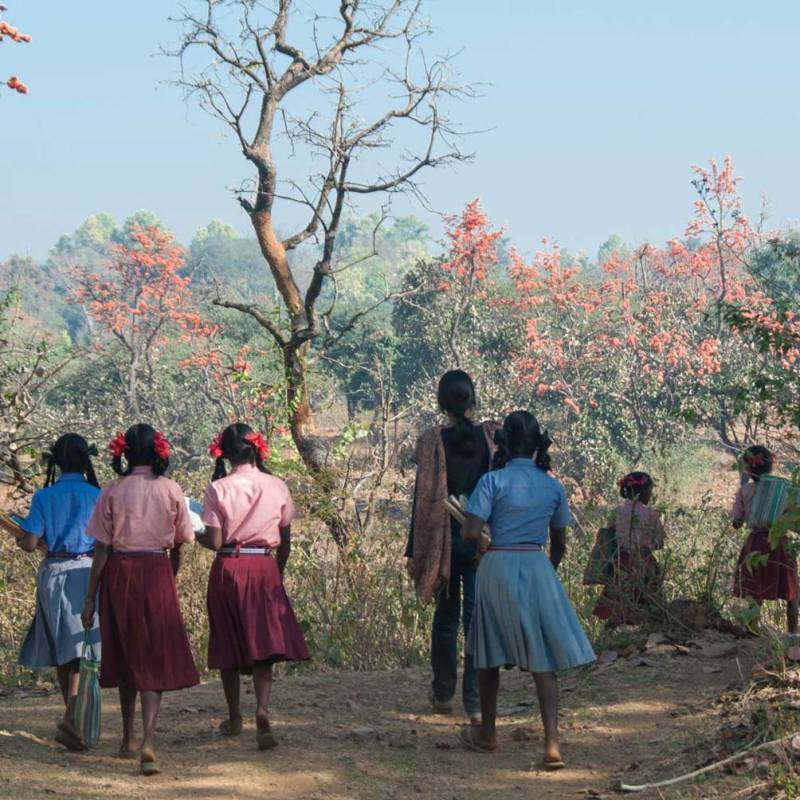 What is development ?