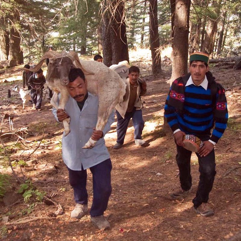 Une rando très spéciale – Partie&nbsp;1