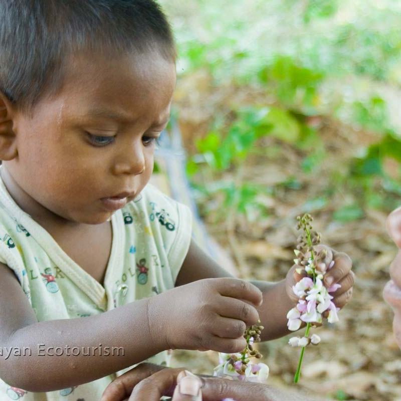 Pourquoi ne dis-je pas souvent merci&nbsp;?